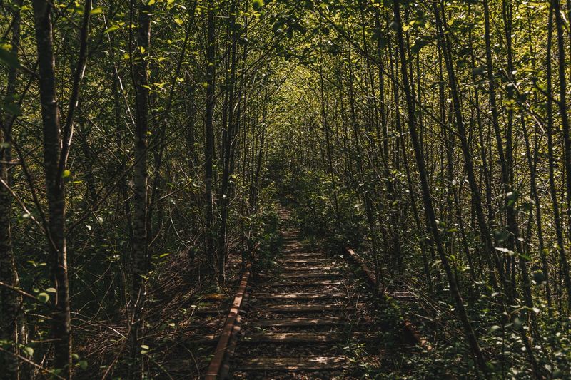 Why This Trail Matters Beyond the Hike