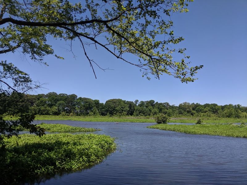 Why Tuckahoe Feels Like One of Maryland's Best Kept Weekend Secrets