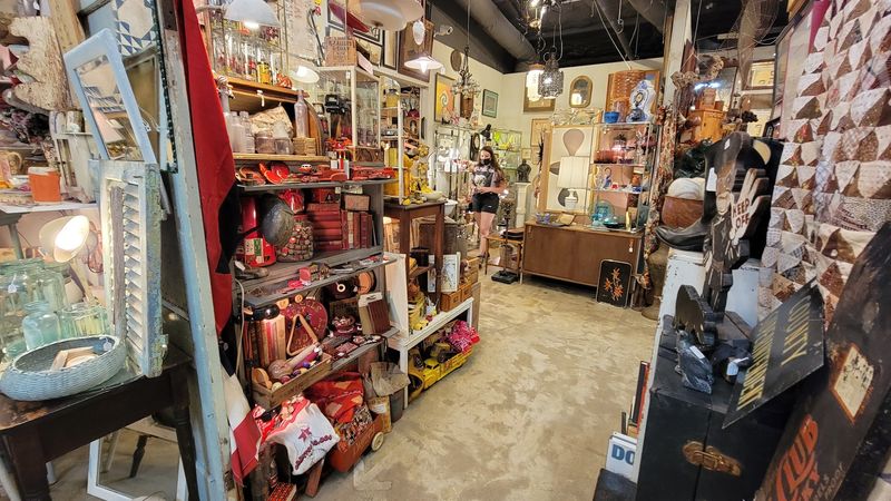 Why Uncommon Objects Belongs on Every Austin Itinerary Why Uncommon Objects Belongs on Every Austin Itinerary