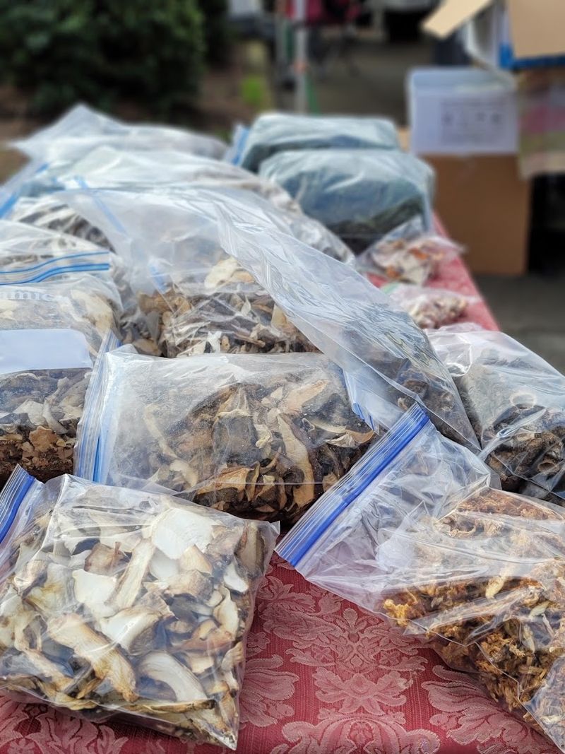 Wild Mushrooms Worth Getting Excited About Wild Mushrooms Worth Getting Excited About