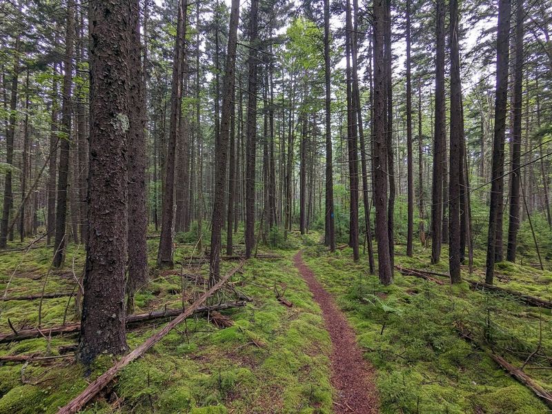 Wild Terrain Where Nature Still Calls the Shots Wild Terrain Where Nature Still Calls the Shots