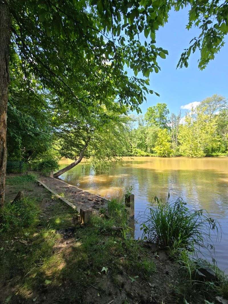Wildlife, Birdsong, and Quiet Moments