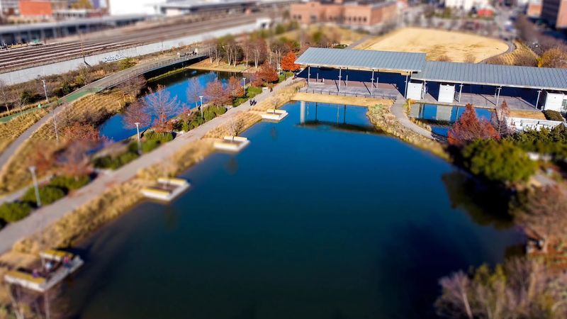 Wildlife, Greenery, and the Sensory Side of the Loop