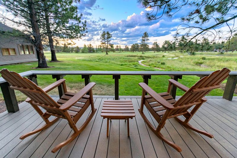 Wildlife, Nature, and the Unexpected Magic of Elk at Dawn