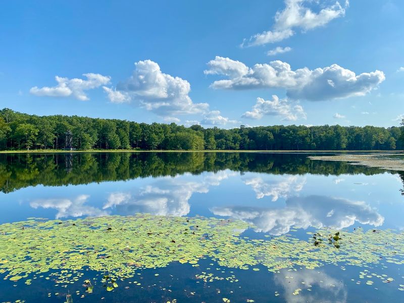 Wildlife Photography Opportunities at Patuxent