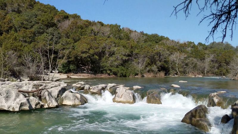 Wildlife, Plants, and the Living Trail Around You
