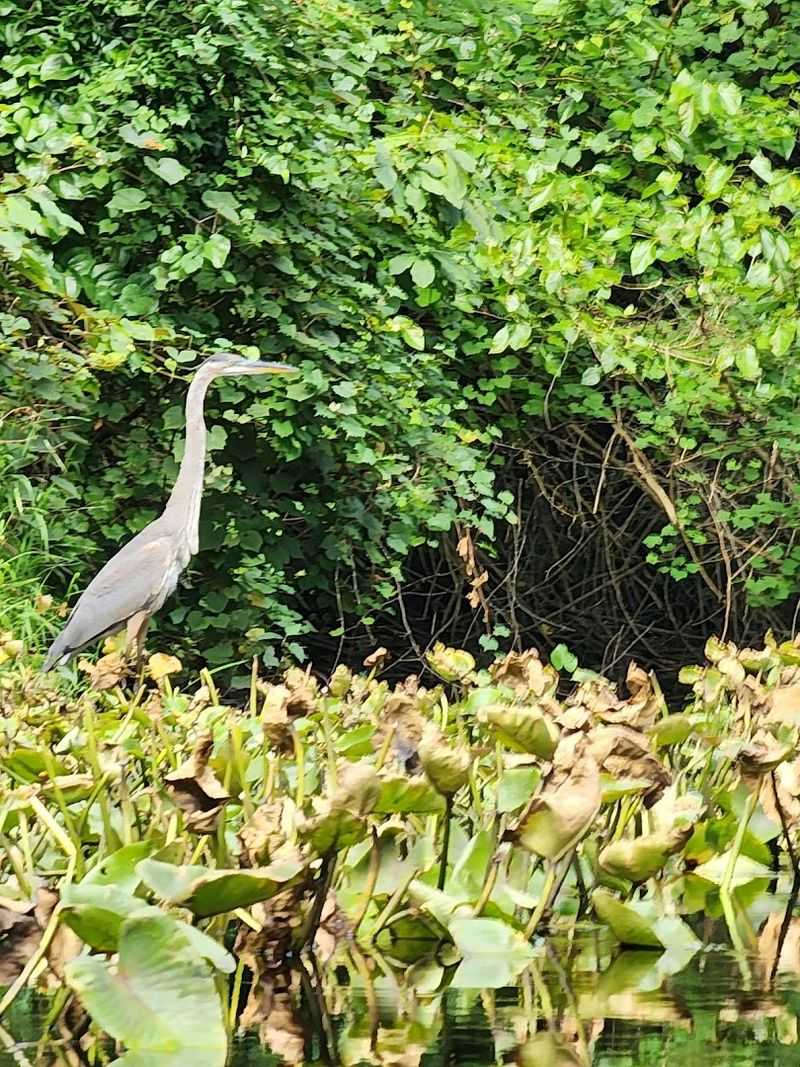 Wildlife So Wild It Will Catch You Off Guard