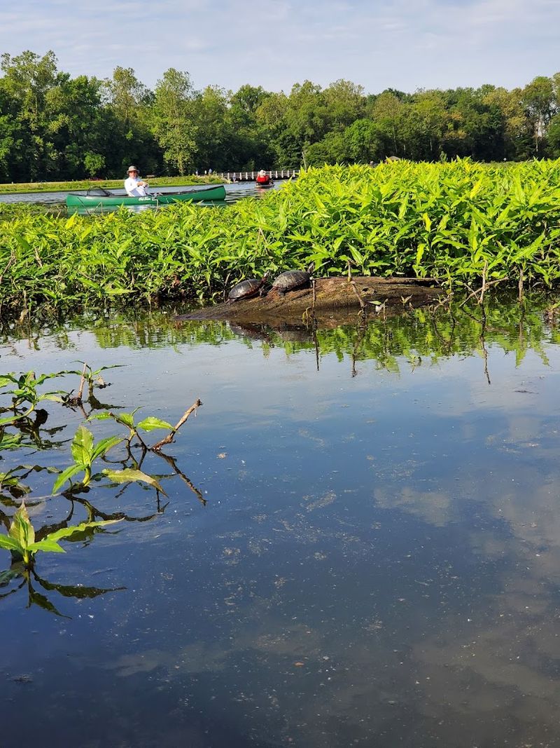 Wildlife Watching at a Park Recognized as an Important Bird Area