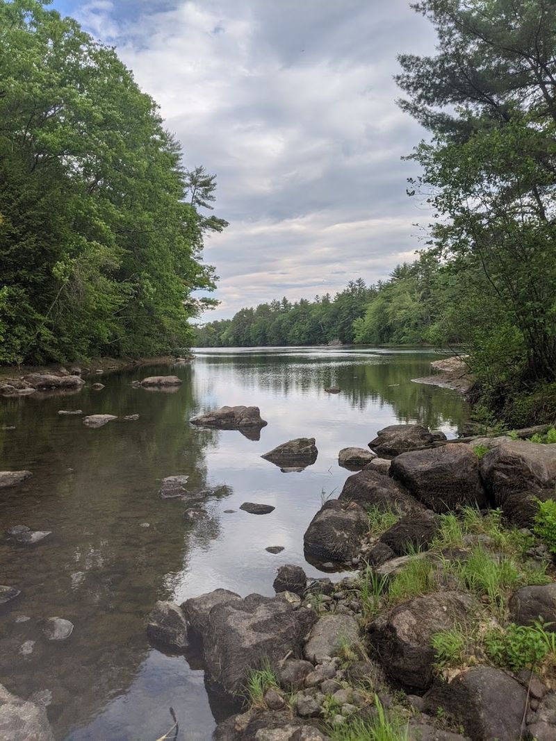 Wildlife Wonders Around Every Bend