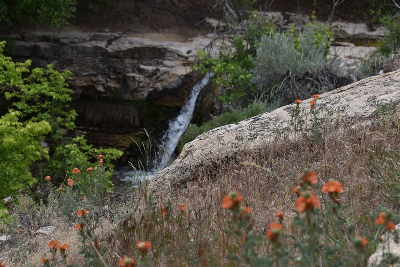 Wildlife Wonders You Did Not Expect to Find Wildlife Wonders You Did Not Expect to Find