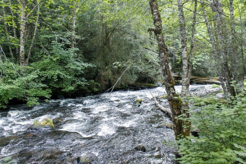 Wildlife and Birds You Might Spot Along the Way