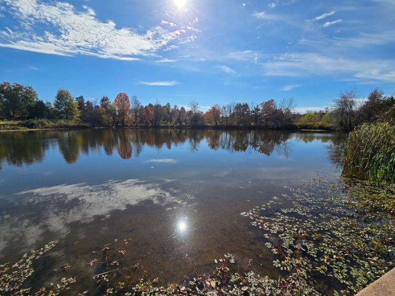 Wildlife and Birdwatching: Over 150 Species Call This Park Home