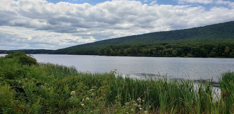 Wildlife and Birdwatching in a Surprisingly Rich Ecosystem