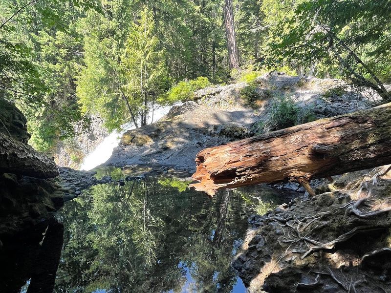 Wildlife and Nature Along the Loop