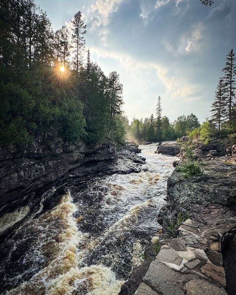 Wildlife and Nature Along the North Shore Corridor
