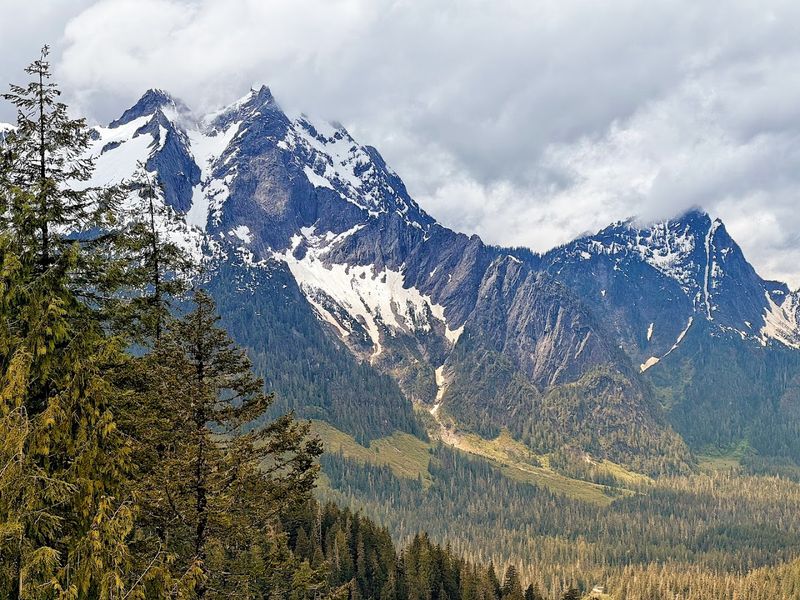 Wildlife and Scenery Along the Way: The Cascades Show Off