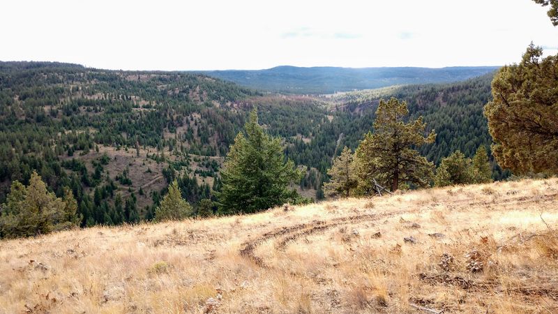 Wildlife and Scenery Around Every Bend