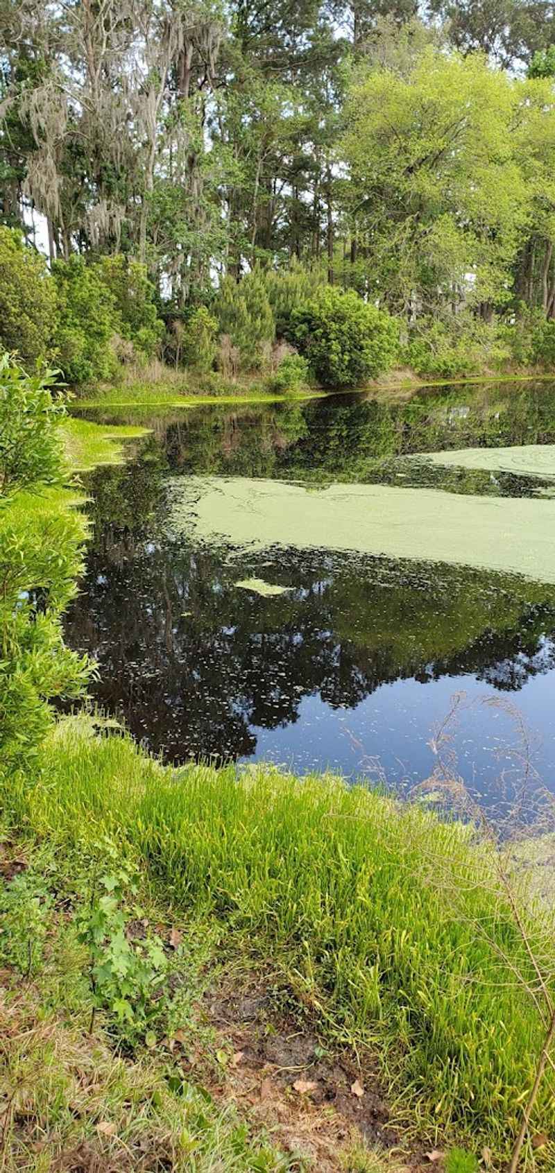Wildlife and Wild Spaces That Make Naturalists Feel Right at Home Wildlife and Wild Spaces That Make Naturalists Feel Right at Home