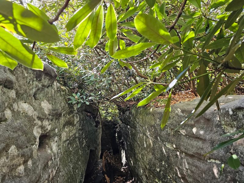 Wildlife and Wild Surprises Along the Way