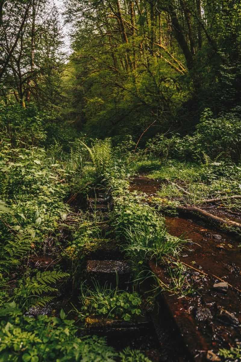 Wildlife and Wilderness Along the Route