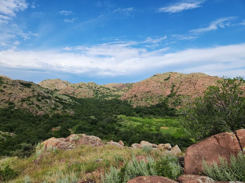 Wildlife and the Natural World Around the Park