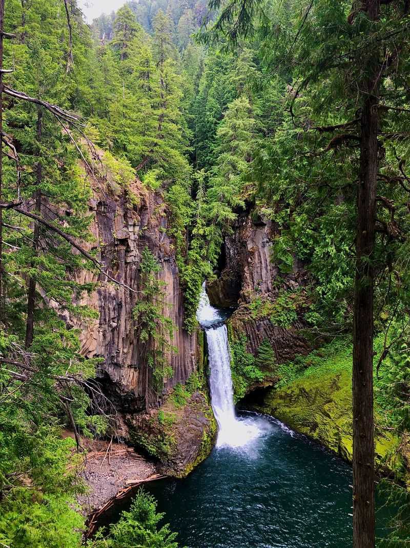 Wildwood Falls County Park, Near Dorena, Oregon