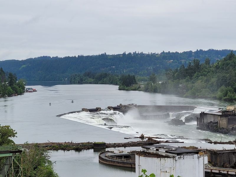 Willamette Falls Visible from the Top Willamette Falls Visible from the Top