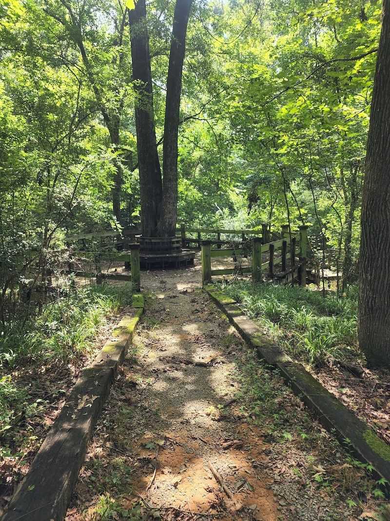 William Bartram's Legacy: The History Behind the Trail