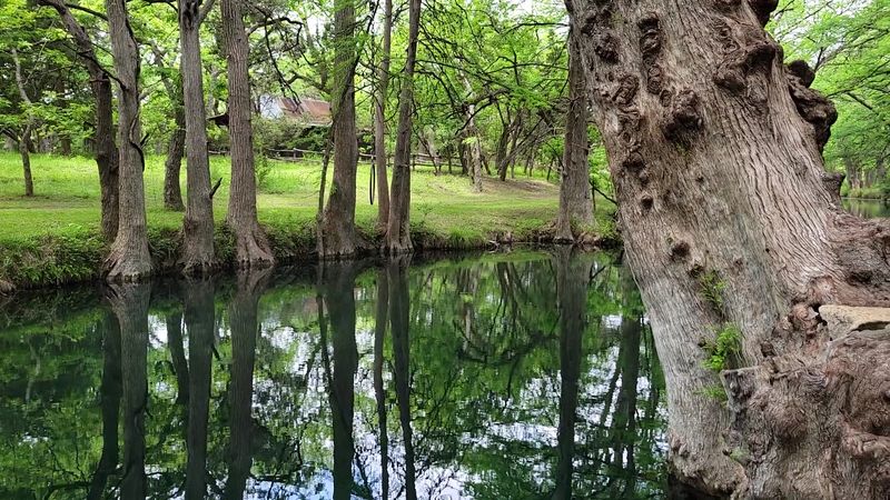 Wimberley Wimberley