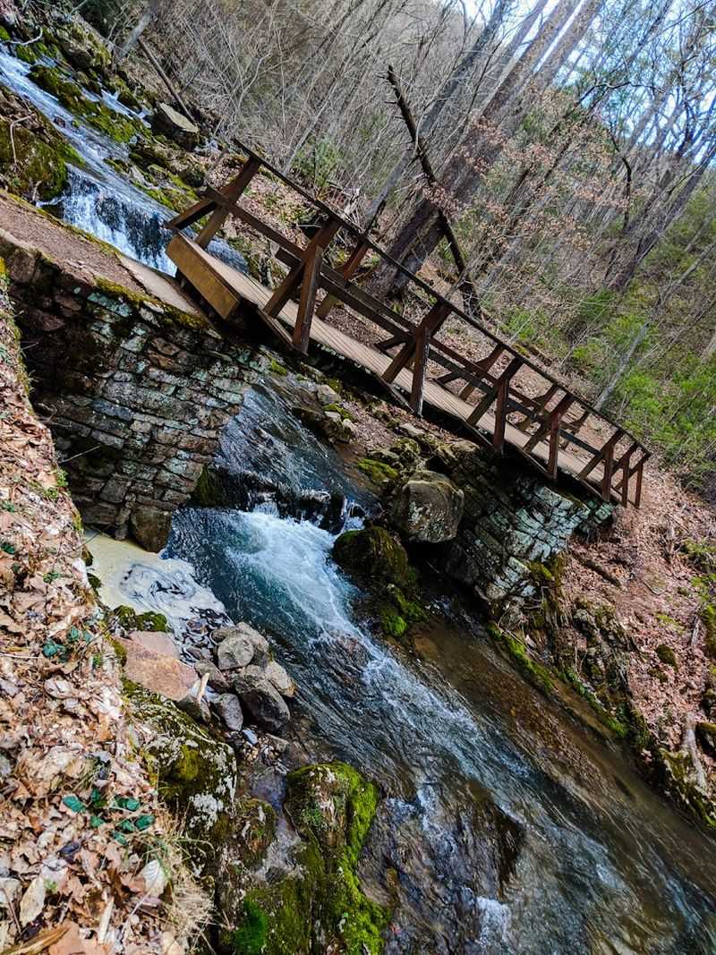 Wooden Footbridges That Frame Every Perfect Photo Opportunity