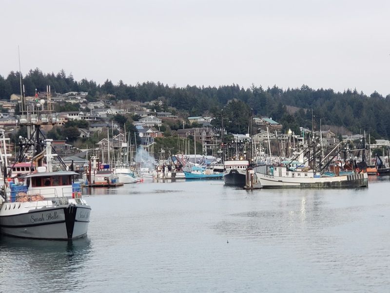 Working Fishing Boats and Harbor Activity