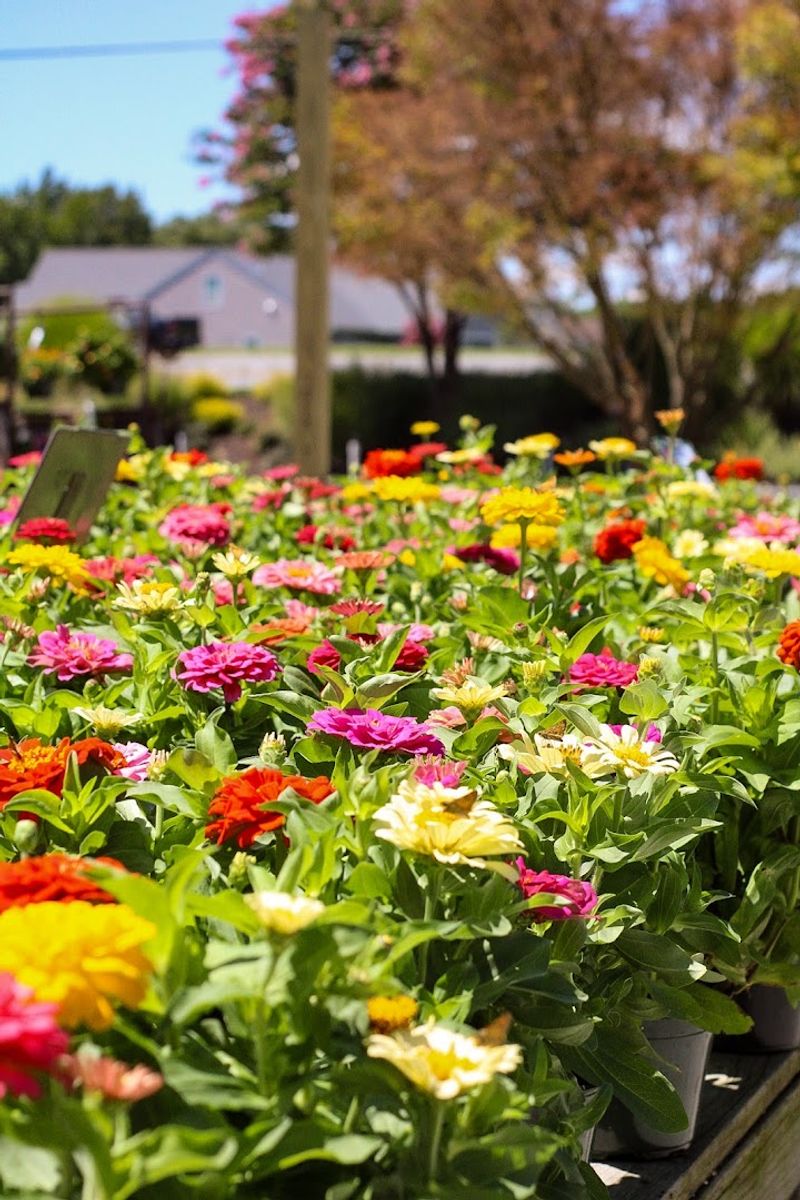 Workshops and Learning Experiences for Every Gardener