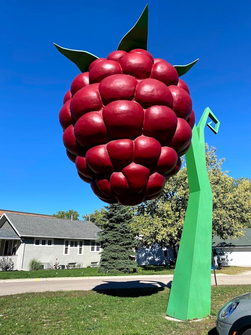 World's Largest Raspberry – Hopkins World's Largest Raspberry – Hopkins