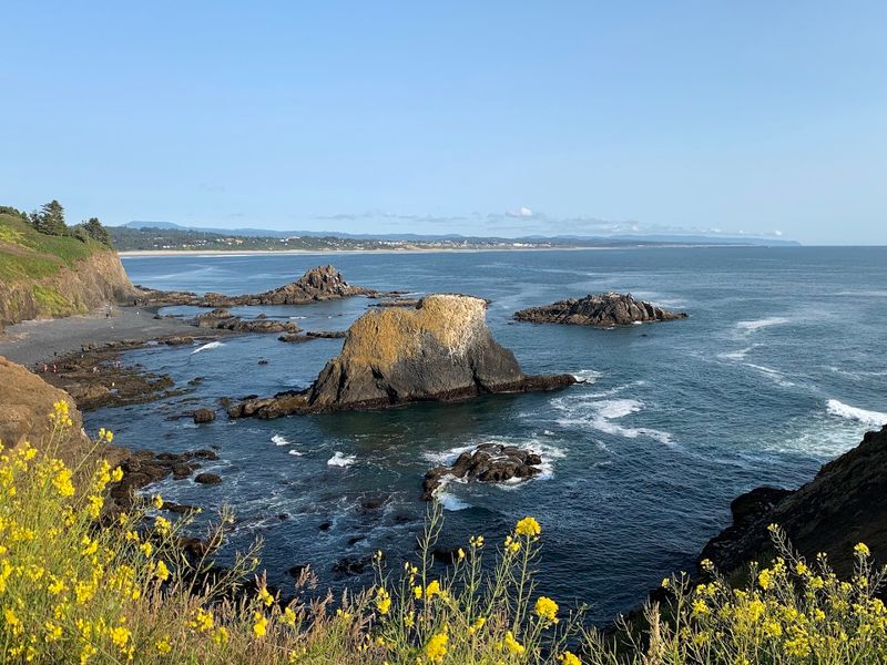 Yaquina Head Outstanding Natural Area and What the Tide Pools Reveal Yaquina Head Outstanding Natural Area and What the Tide Pools Reveal