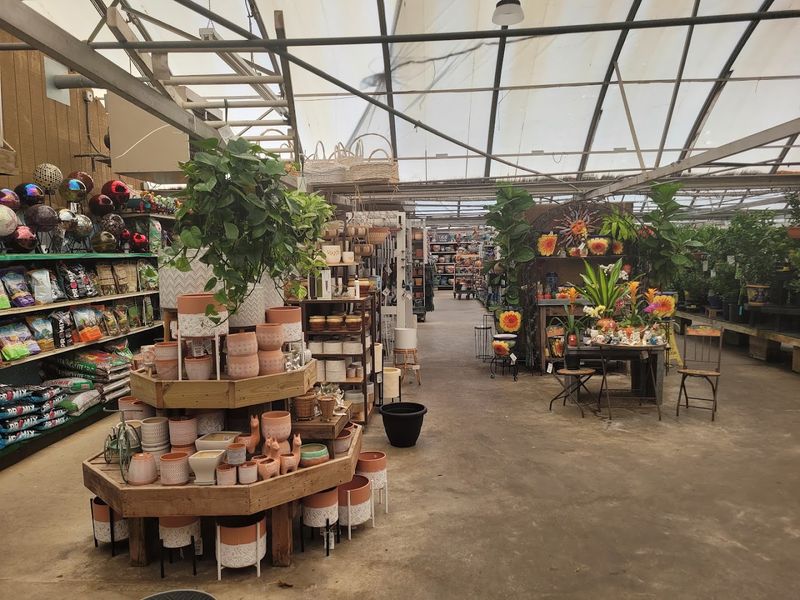 Year-Round Houseplants And Decor