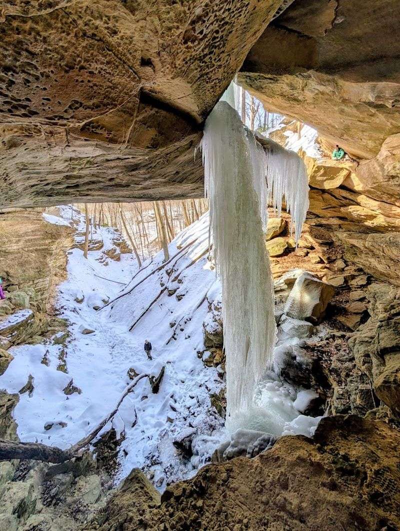 Yellow Birch Ravine Nature Preserve - The Arch Trail