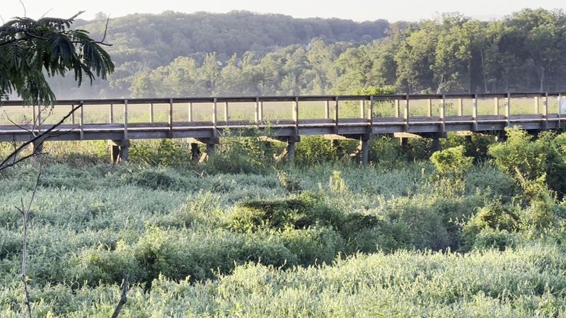 Yoga, Stargazing, and Seasonal Events That Keep Things Fresh Yoga, Stargazing, and Seasonal Events That Keep Things Fresh