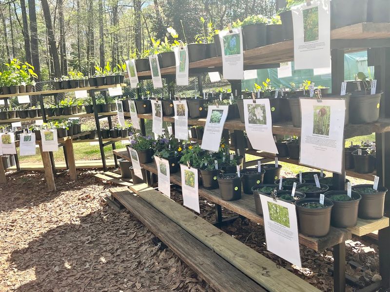 You Can Browse Rare Alabama-Native Plants Here