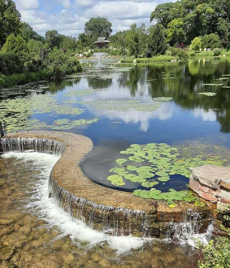 You Can See Water Everywhere You Walk You Can See Water Everywhere You Walk