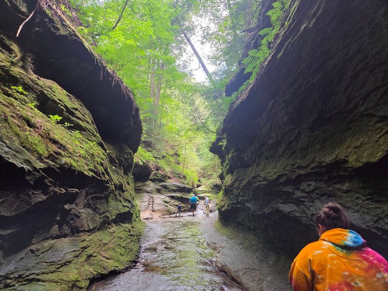 You Must Climb the Ladders on Trail 3 Through Rocky Hollow