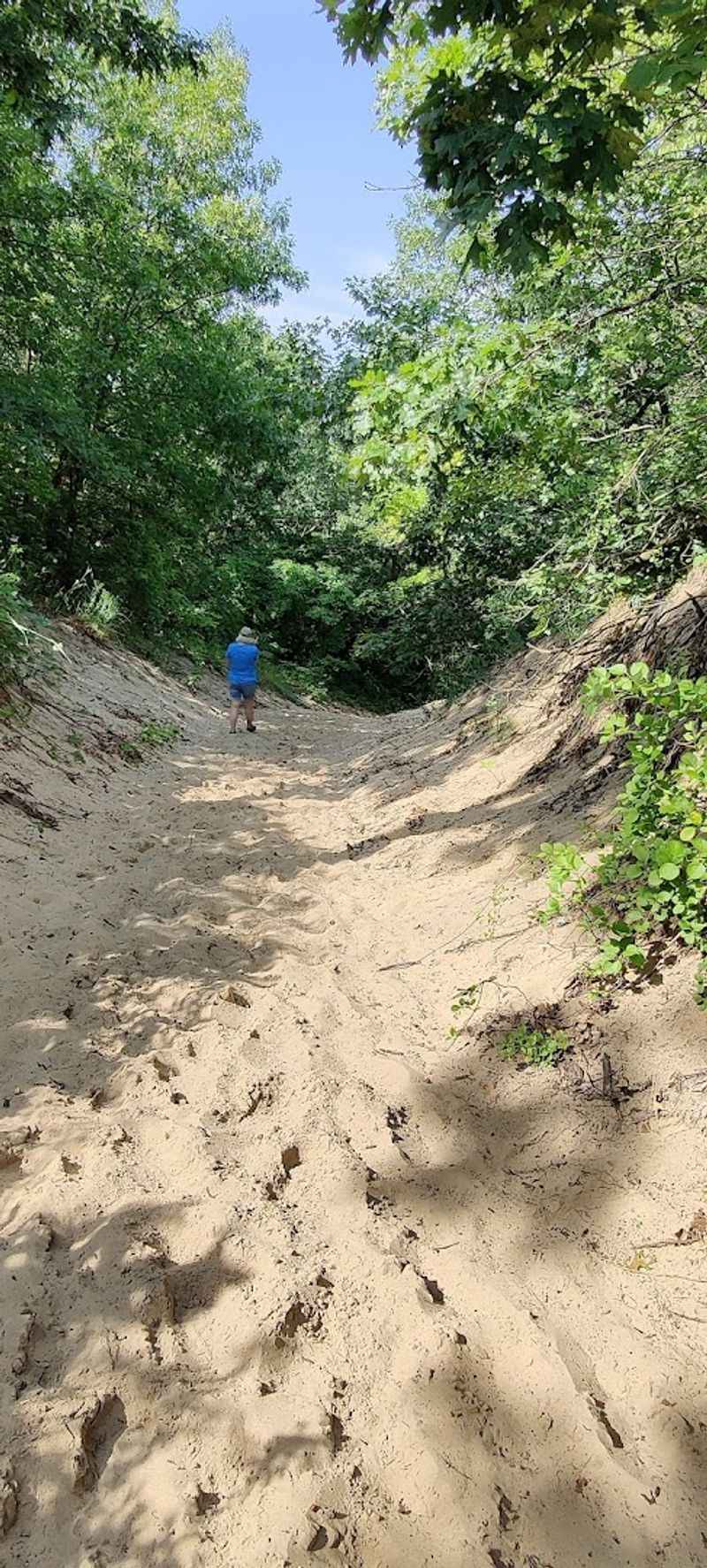You Will Burn More Energy Than You Expect on Sand