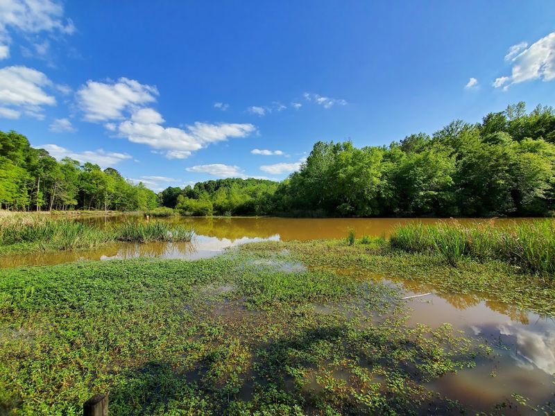 You’ll Feel Like You’ve Found A Wild Escape Away From Everything