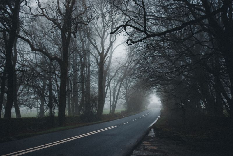 Youngs River Road, Clatsop County