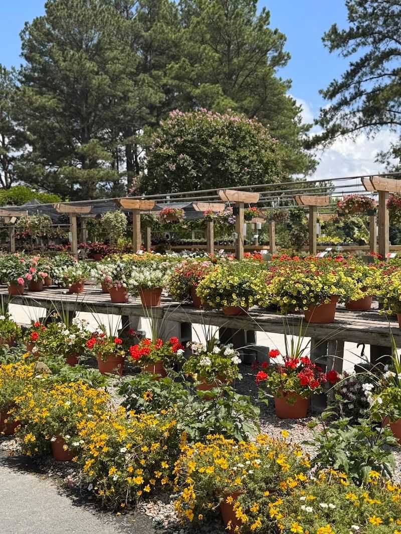 Your Green Escape Awaits at 501 Courthouse Road