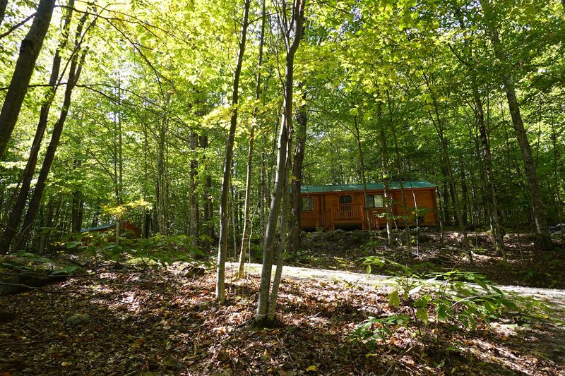 Your Private Forest Escape Awaits Your Private Forest Escape Awaits