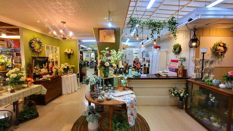 Zola's Flowers and the Art of Making a Space Feel Alive