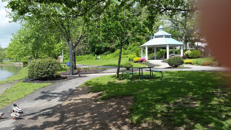 The Gazebo, Your Shady Retreat Mid-Visit The Gazebo, Your Shady Retreat Mid-Visit