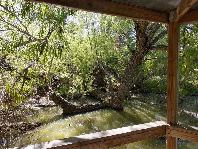 2.5 Miles of Walking Trails Through Native Habitat 2.5 Miles of Walking Trails Through Native Habitat