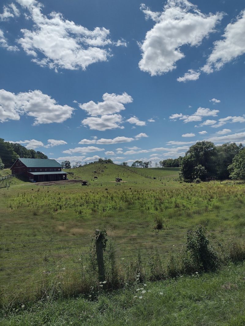 240 Acres of Space and Freedom 240 Acres of Space and Freedom