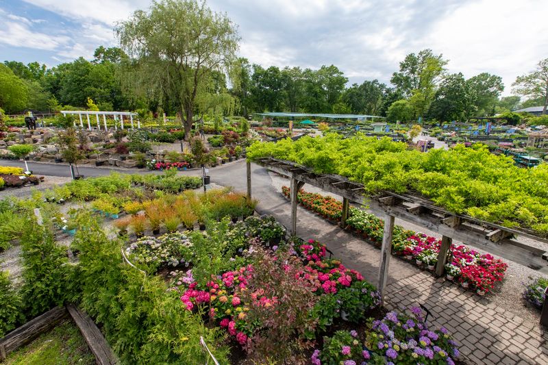 32 Acres of Pure Green Exploration